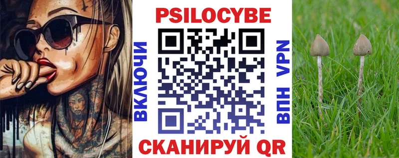 omg рабочий сайт  как найти наркотики  Семёнов  Галлюциногенные грибы Cubensis 